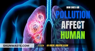 Air Pollution: Harming Human Health and Wellbeing