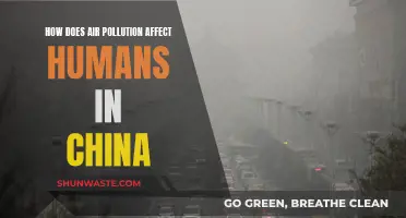 Air Pollution's Impact on Chinese Health and Wellbeing