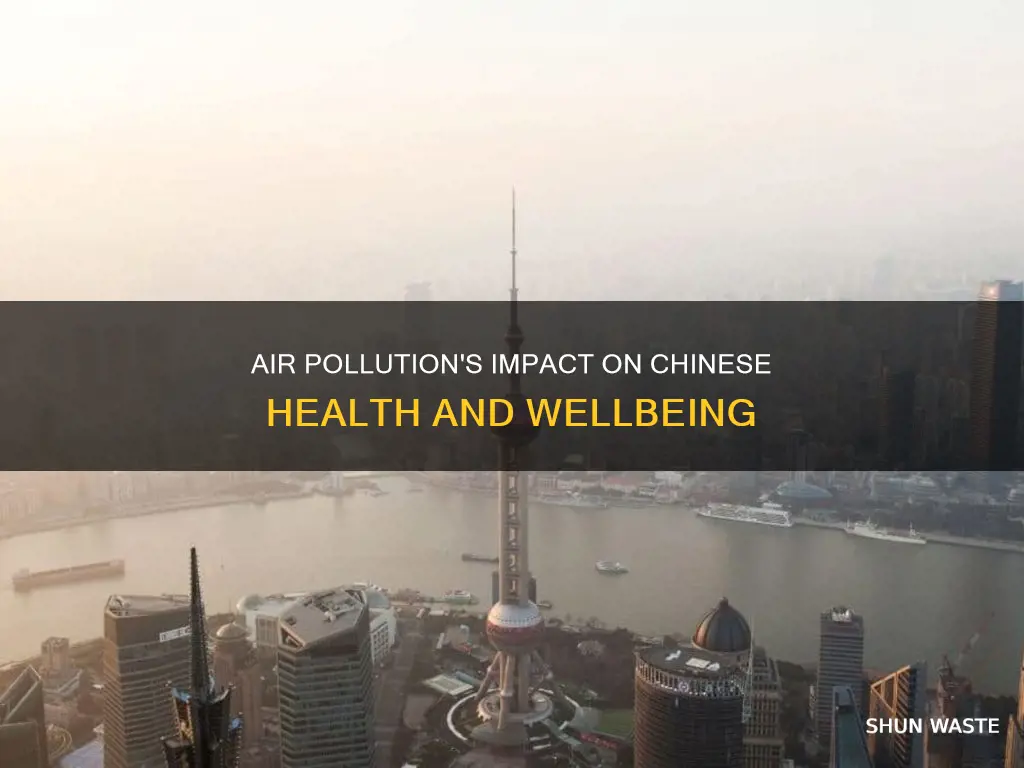 how does air pollution affect humans in china