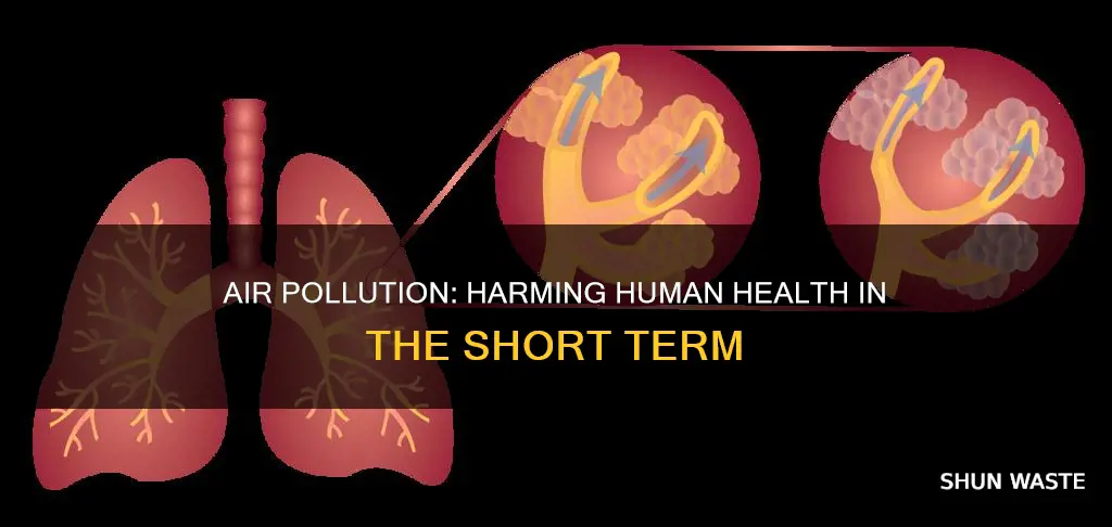 how does air pollution affect humans in the short term