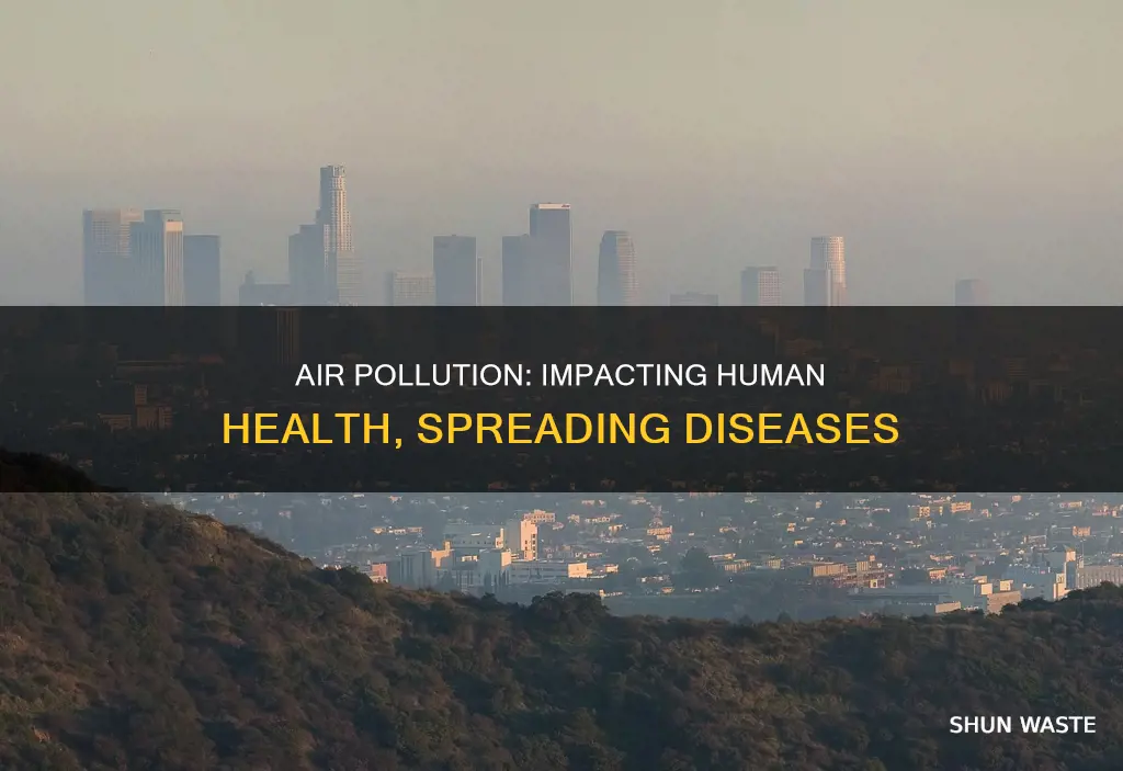 how does air pollution affect infectious disease in humans