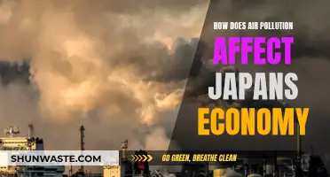 Air Pollution's Impact on Japan's Economy and Future