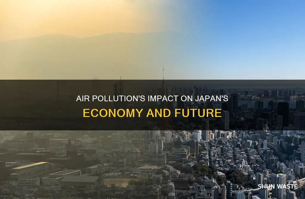 how does air pollution affect japans economy