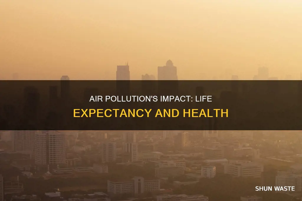 how does air pollution affect life expectancy