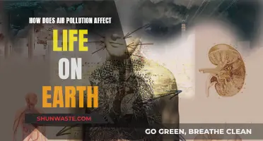 Air Pollution: A Global Threat to Life on Earth