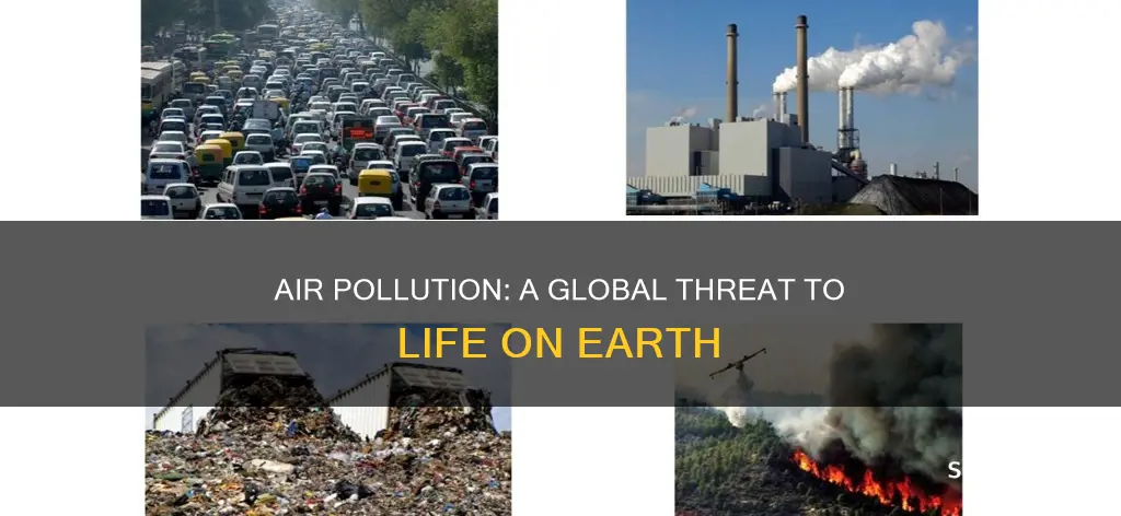 how does air pollution affect life on earth