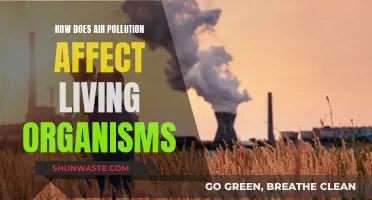 Air Pollution: Harming Humans and Nature