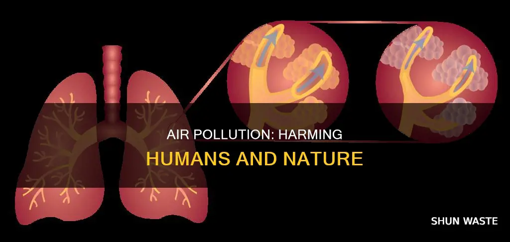 how does air pollution affect living organisms