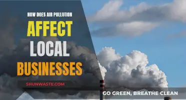 Air Pollution's Impact on Local Businesses: A Concern?