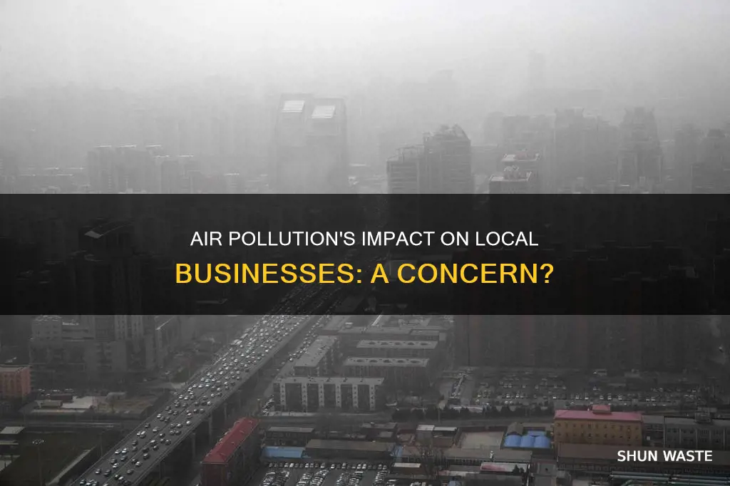 how does air pollution affect local businesses