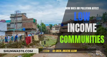 Air Pollution's Impact: Low-Income Communities' Plight