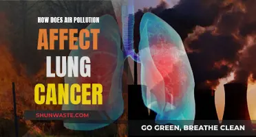 Air Pollution's Link to Lung Cancer Explained