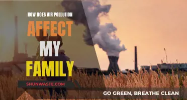 Air Pollution: Harming Our Families, Damaging Our Health