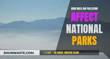 Air Pollution's Impact on National Parks