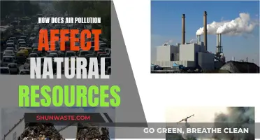 Air Pollution's Impact on Our Natural Resources