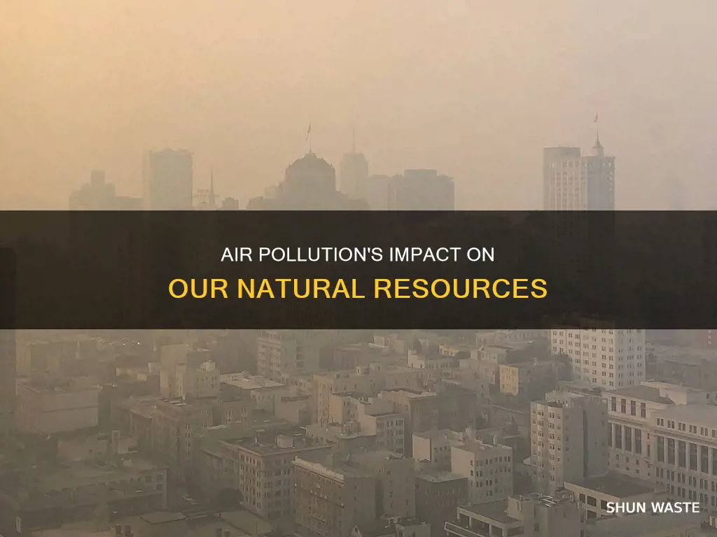 how does air pollution affect natural resources