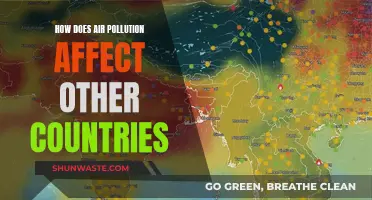 Air Pollution's Global Reach and Impact