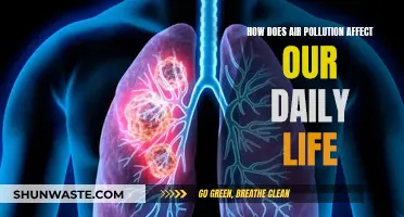 Air Pollution's Daily Impact: Our Health, Our Lives