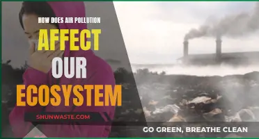 Air Pollution's Devastating Impact on Our Ecosystem