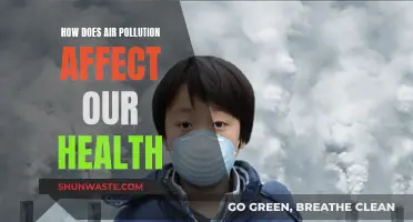 Air Pollution: A Slow Poison for Our Health