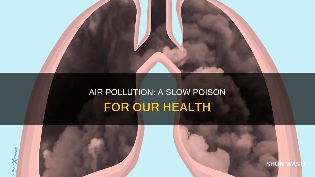 how does air pollution affect our health