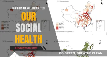 Air Pollution's Social Health Impact: A Community Concern