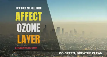 Air Pollution's Impact on the Ozone Layer