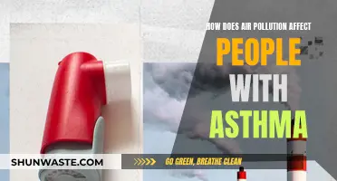 Asthma and Air Pollution: A Dangerous Mix