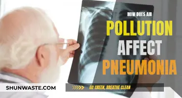 Air Pollution's Impact on Pneumonia: A Lethal Link