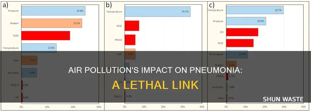 how does air pollution affect pneumonia