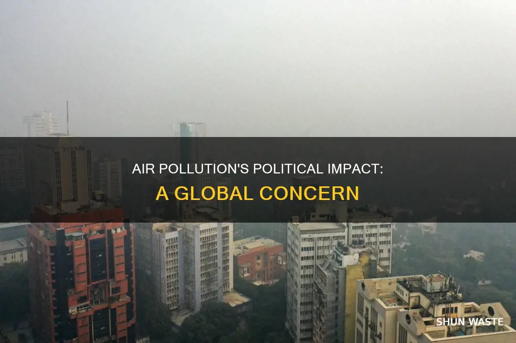 how does air pollution affect politics