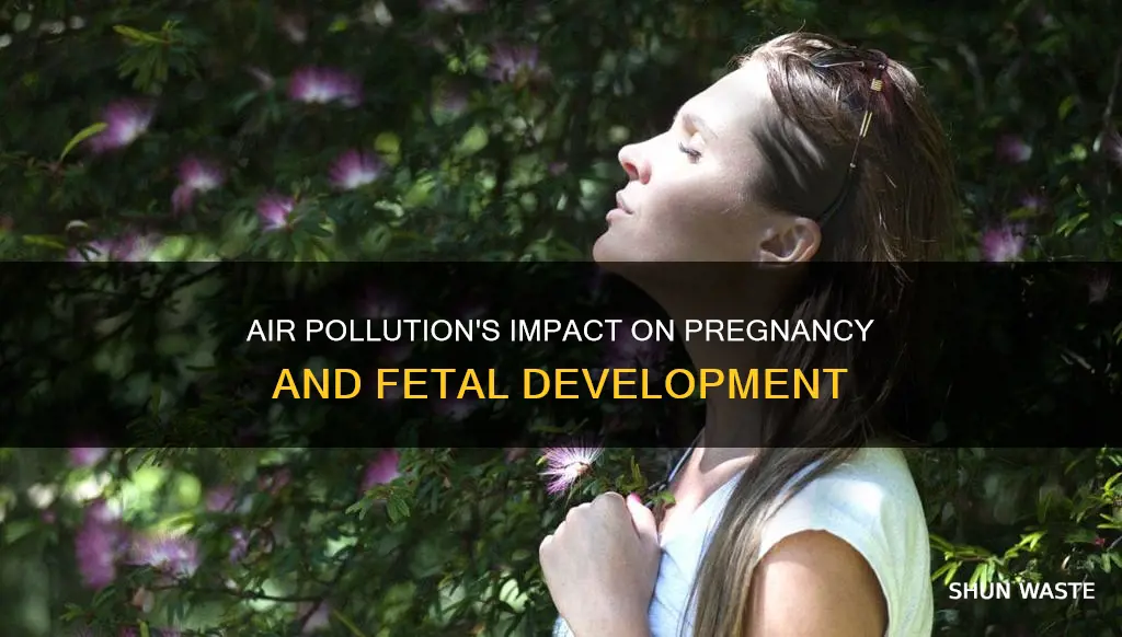 how does air pollution affect pregnancy