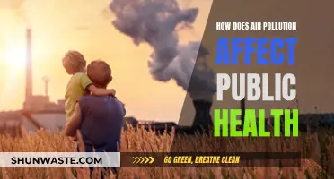 Air Pollution's Impact on Public Health and Wellbeing