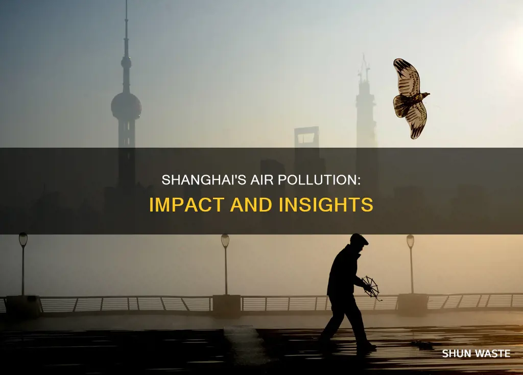 how does air pollution affect shanghai