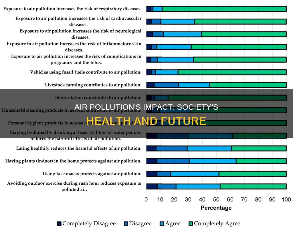 how does air pollution affect society