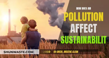 Air Pollution's Impact on Sustainability: A Critical Analysis