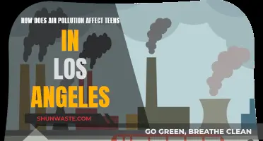 Air Pollution's Impact on LA's Teenagers' Health