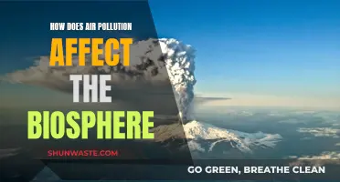 Air Pollution's Impact on Biosphere: A Comprehensive Overview