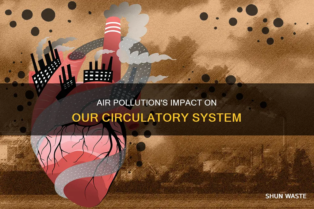 how does air pollution affect the circulatory system