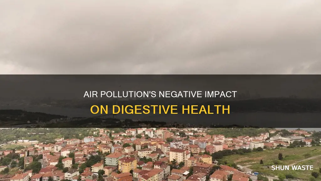 how does air pollution affect the digestive system