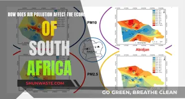 Air Pollution's Economic Impact on South Africa