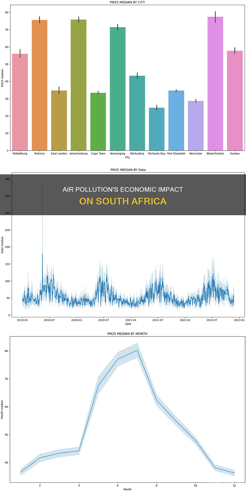 how does air pollution affect the economy of south africa