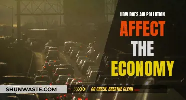 Air Pollution's Economic Impact: A Costly Affair