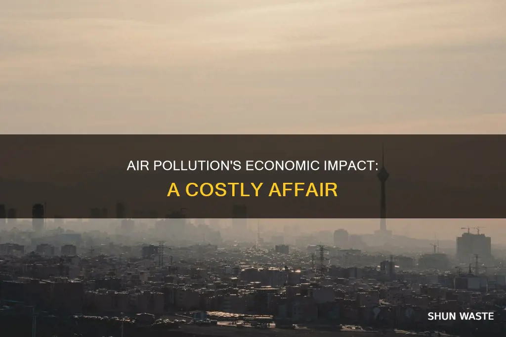 how does air pollution affect the economy