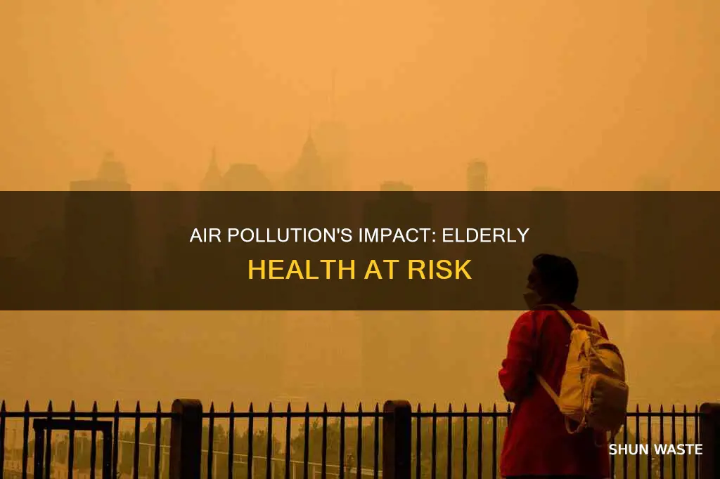 how does air pollution affect the elderly