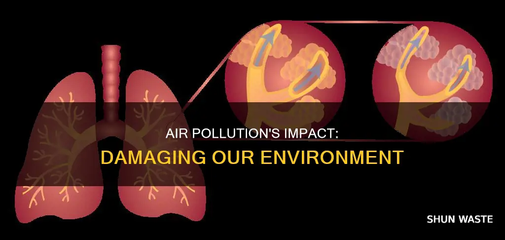 how does air pollution affect the enviorment