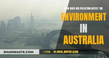 Air Pollution's Impact: Australia's Environment at Risk