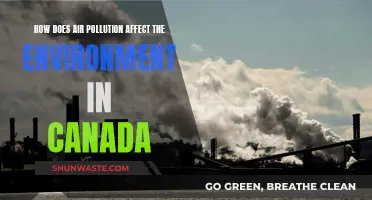 Air Pollution's Impact: Canada's Environment at Risk