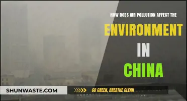 China's Air Pollution Crisis: Environmental Impacts and Consequences