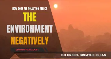 Air Pollution: Harming Our Environment and Health